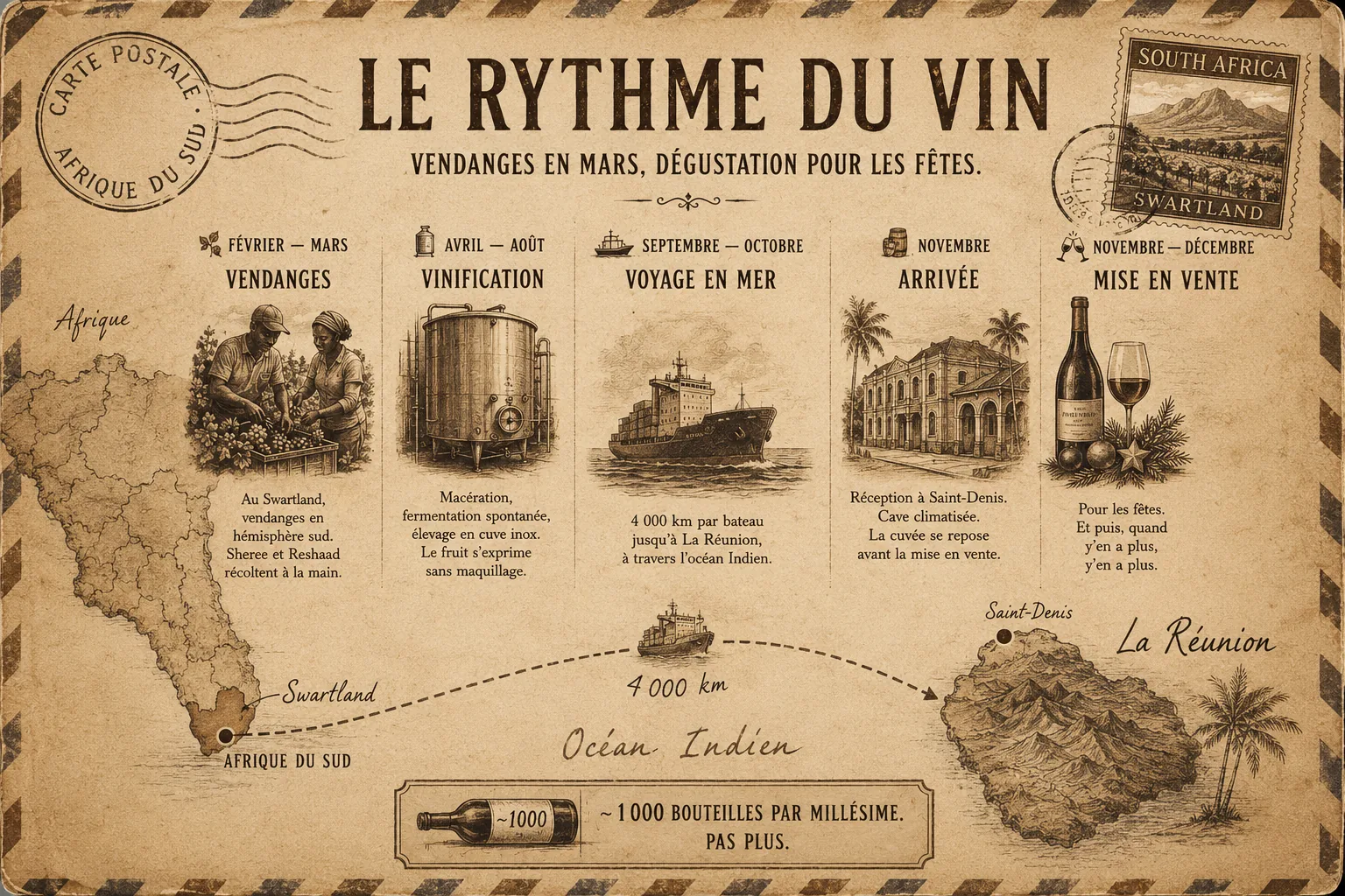 Cycle annuel du vin πKOL — vendanges en février-mars au Swartland, vinification d'avril à août, transport maritime 11 000 km en septembre-octobre, arrivée à Saint-Denis en novembre, dégustation pour les fêtes de fin d'année. Millésime limité à 1000 bouteilles.